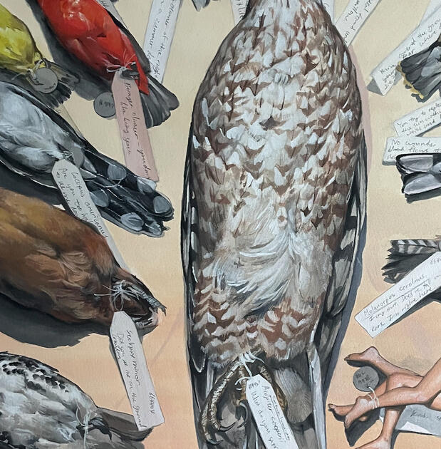 "KIND SPECIES" – Gouache and pen, Personal work (Cropped)